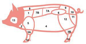 schwein geschlachtet