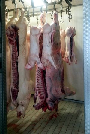 schweinehaelften k