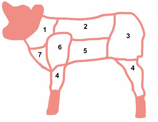 kalb ohne beschriftung