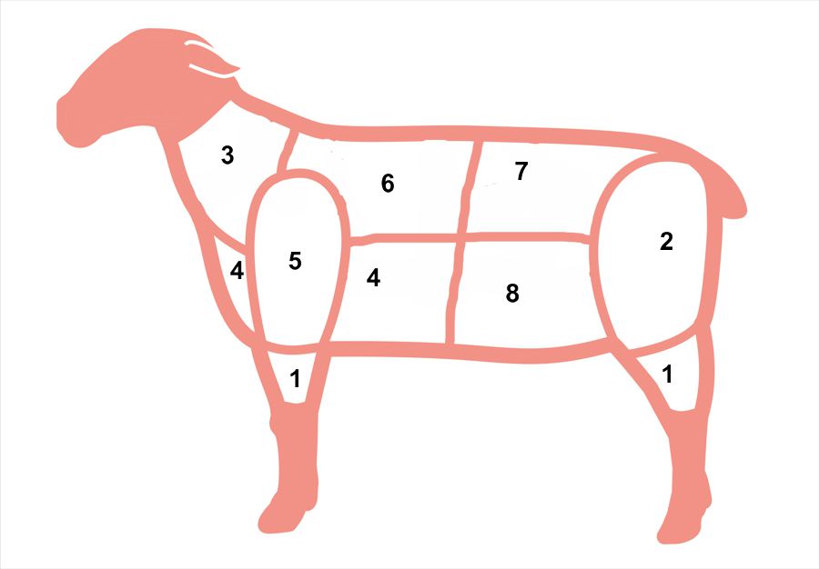 lamm ohne beschriftung