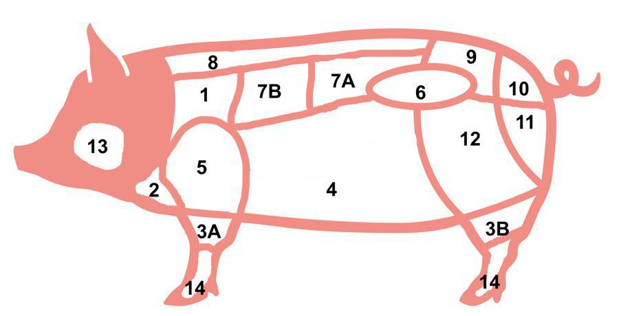 schwein ohne beschriftung
